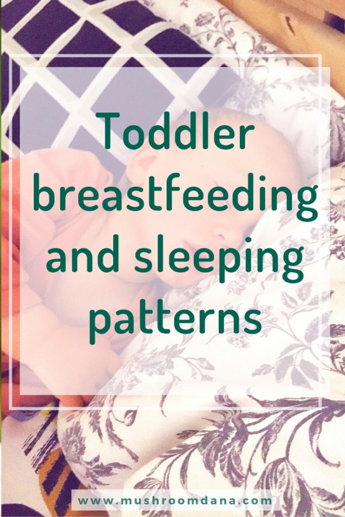 Toddler breastfeeding and sleeping patterns