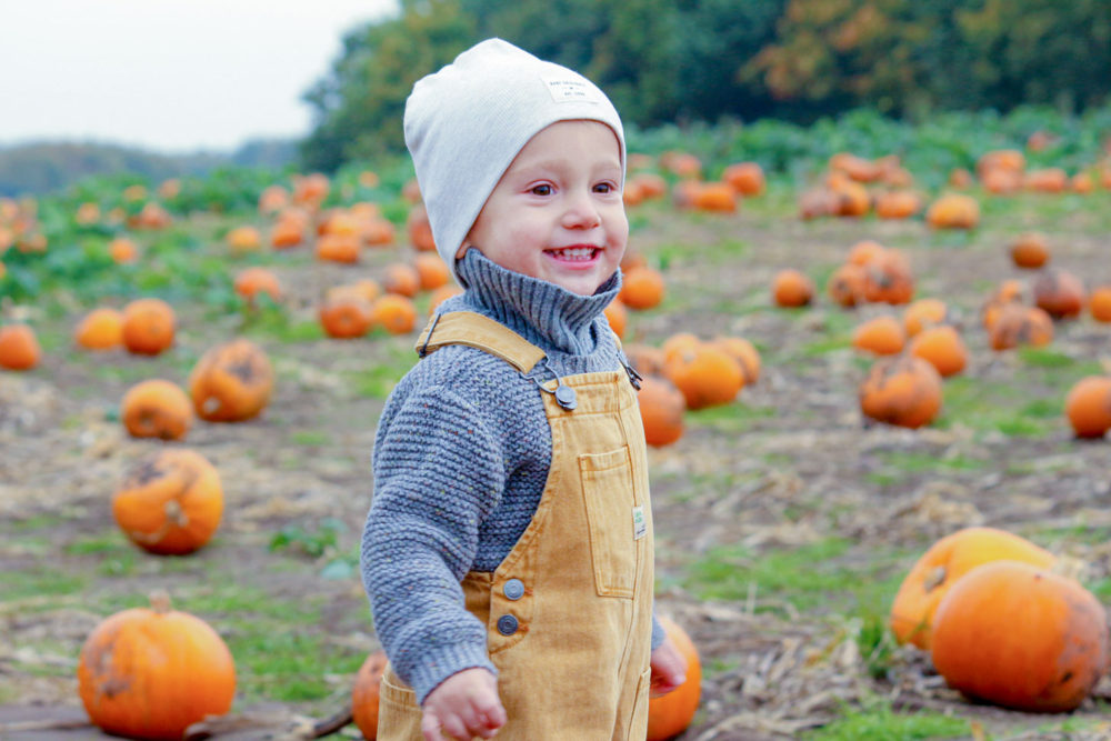 baby on a field with pumpkins 