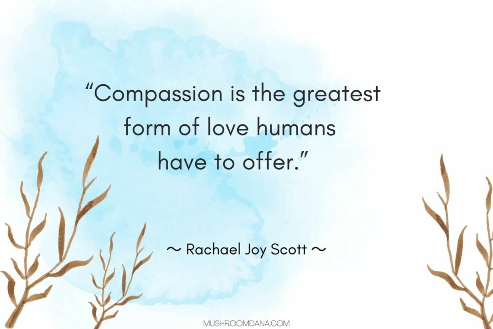 Quotes about compassion3